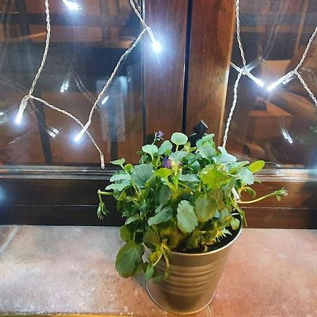 Apartamento Sefardi, Barrio Judio De Hervas Luaran gambar